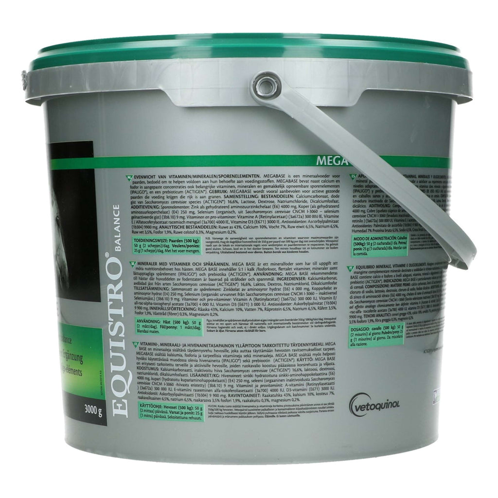 Equistro Mega Base Cavallo