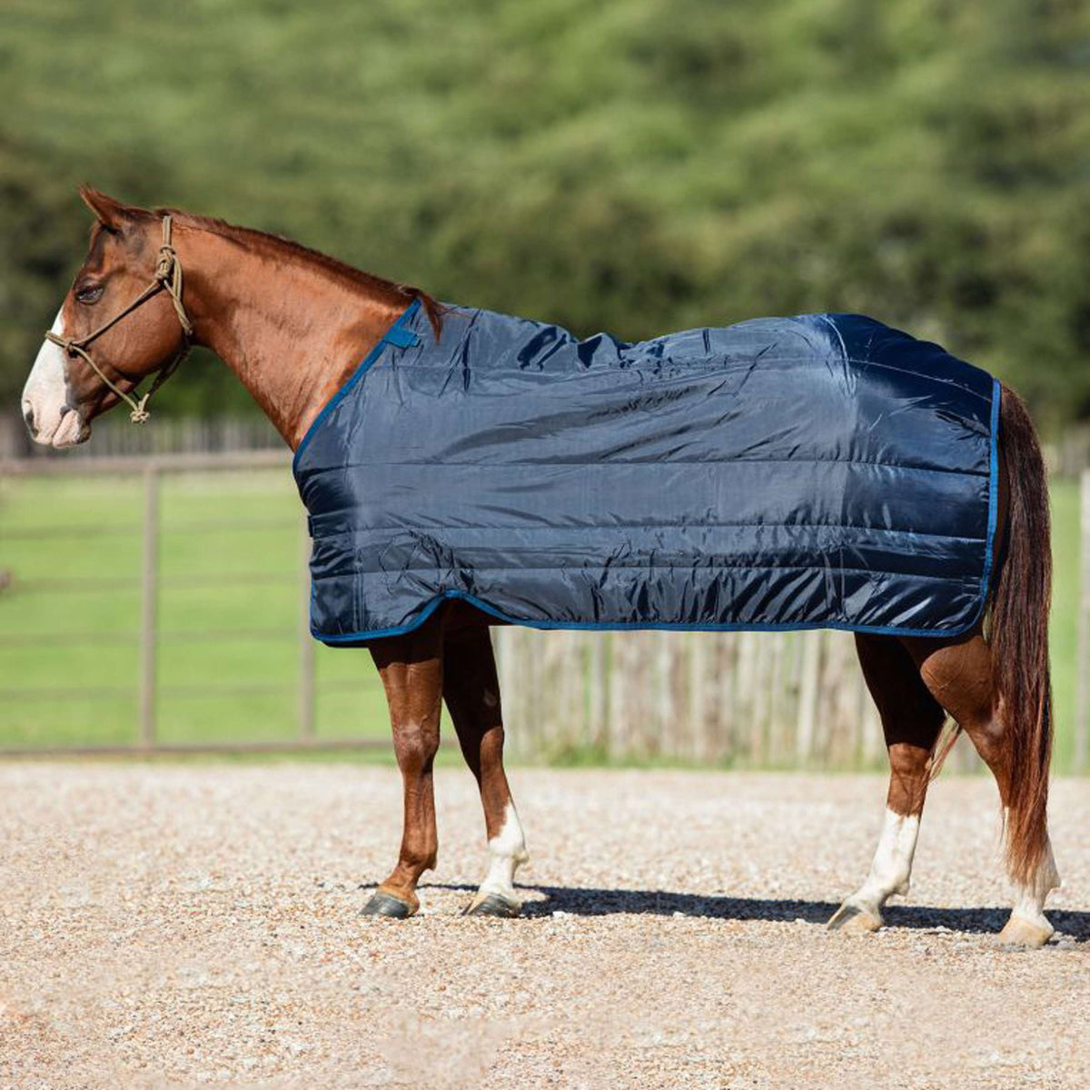 Horseware Liner 300g Navy