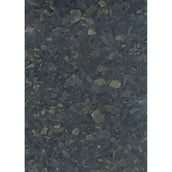 Vanilia Alga islandese