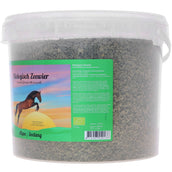 Vanilia Alga islandese