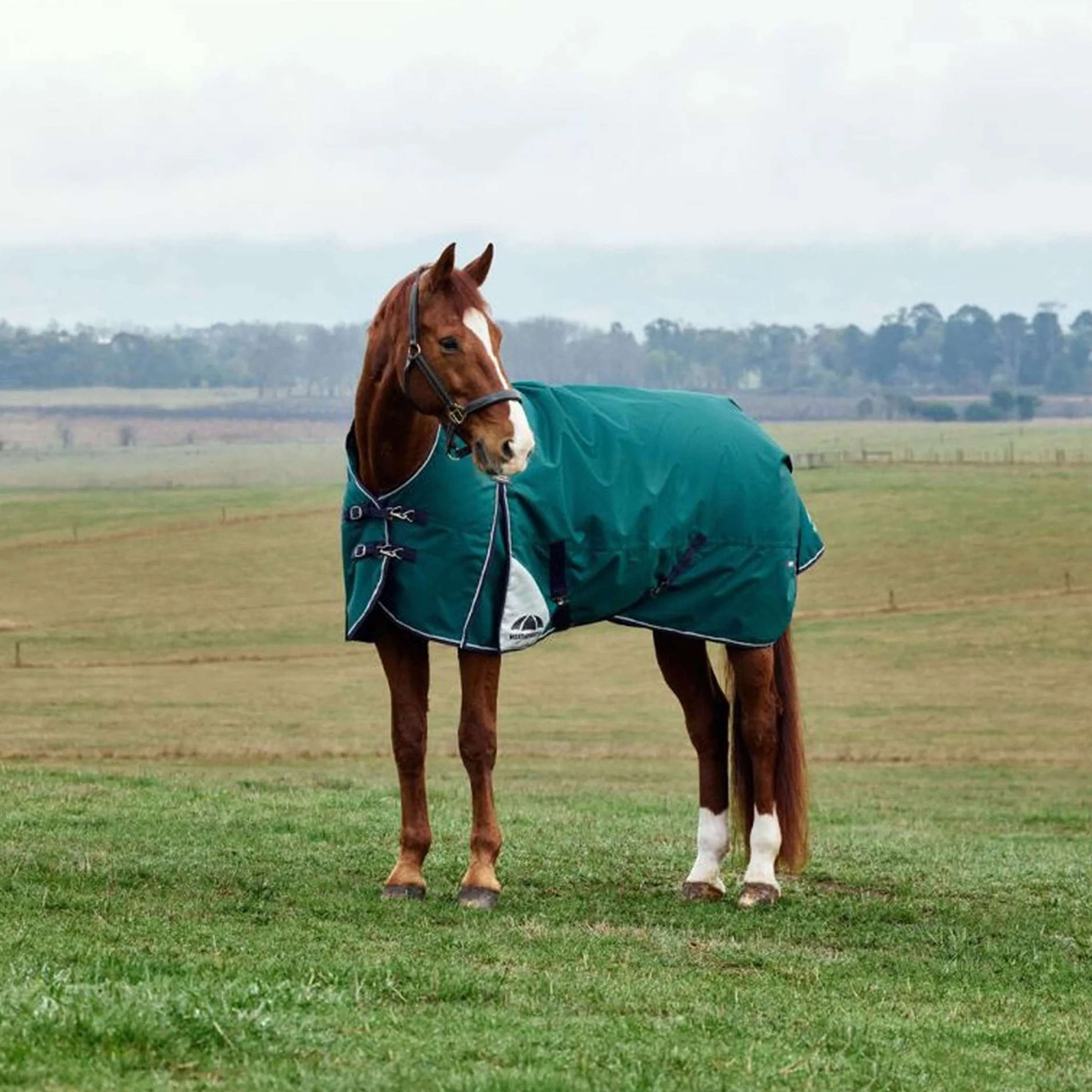 WeatherBeeta ComFiTec Plus Dynamic Turnout 100g Forest Green/Navy