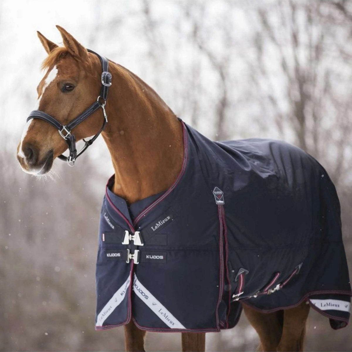 LeMieux Tappeto Kudos Turnout 100g Navy