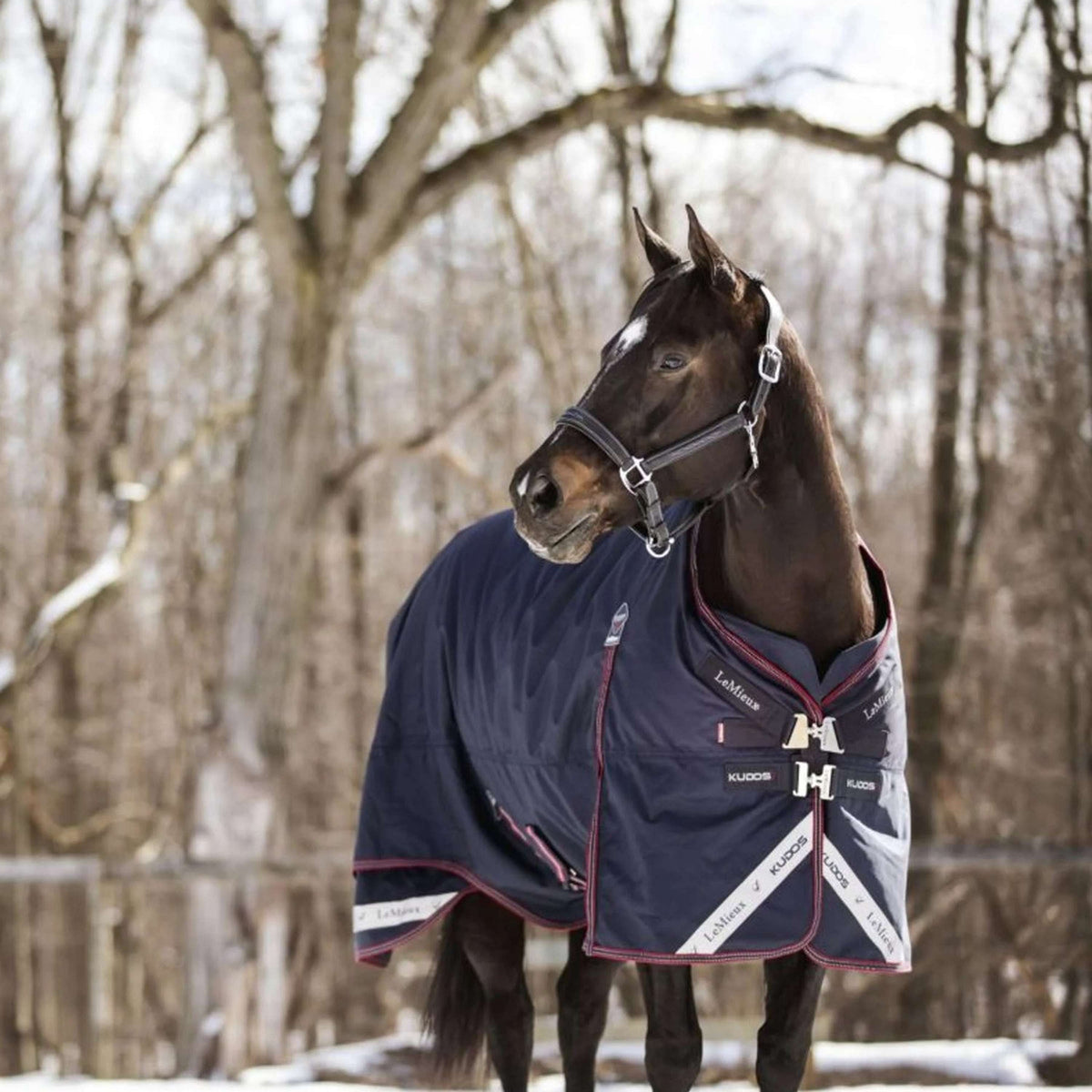 LeMieux Tappeto Kudos Turnout 100g Navy