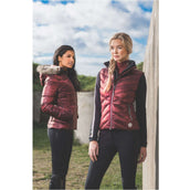 ANKY Gilet Trapuntato New Maroon