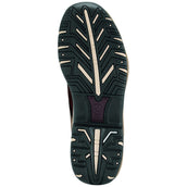 Ariat Terrain Shoe H2O Zip Ladies Distressed Brown