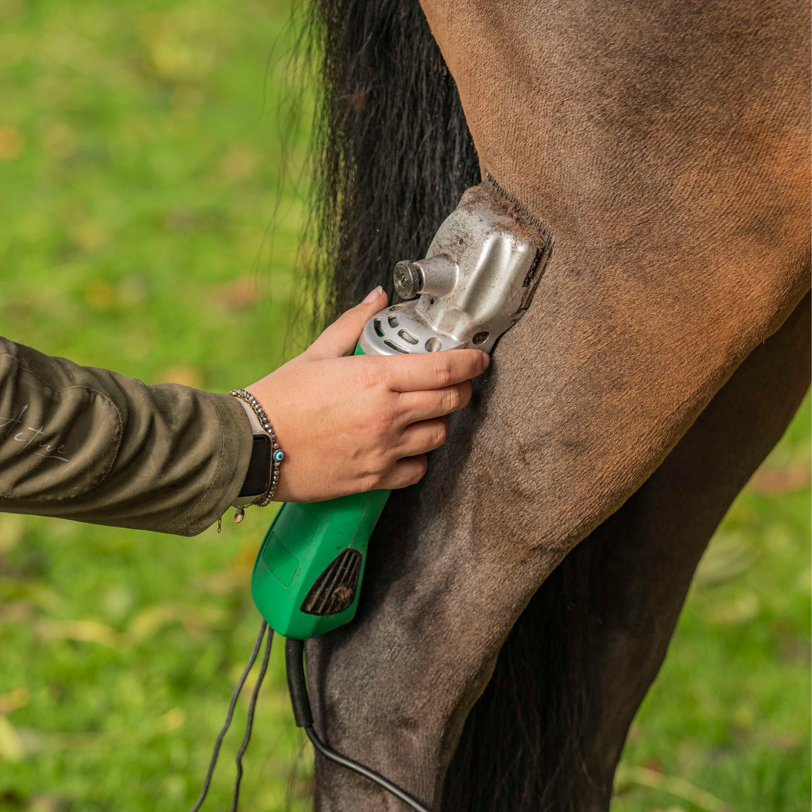 Agradi Horse Macchina tosatrice HC-2000 Verde Agradi Horse Macchina tosatrice HC-2000 Verde
