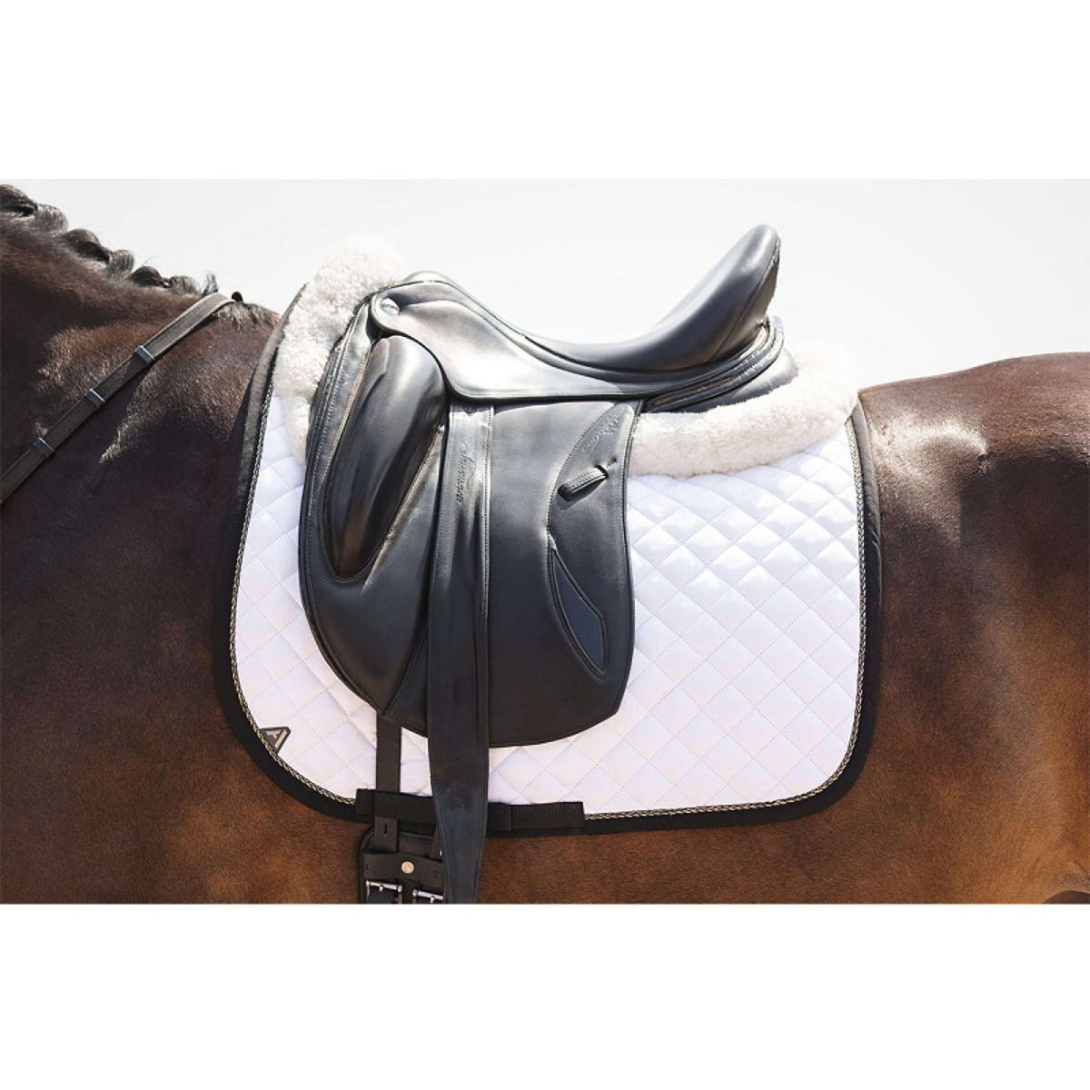 ANKY Sottosella Presence XB25005 Dressage Bianco/Nero