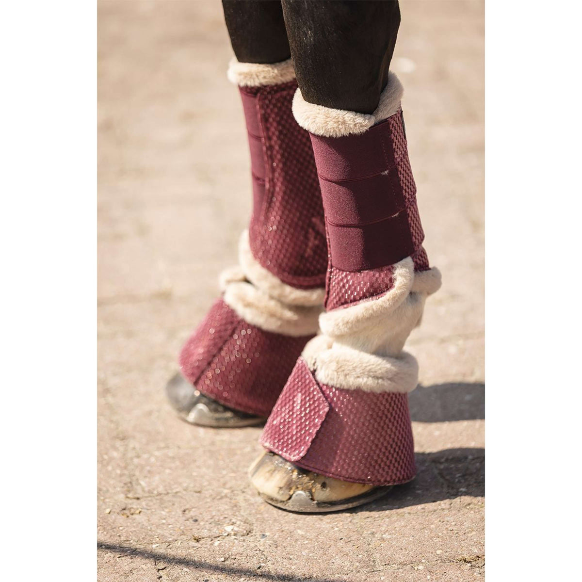 ANKY Stivali da dressage Check Velvet ATB25005 Mellow Mauve