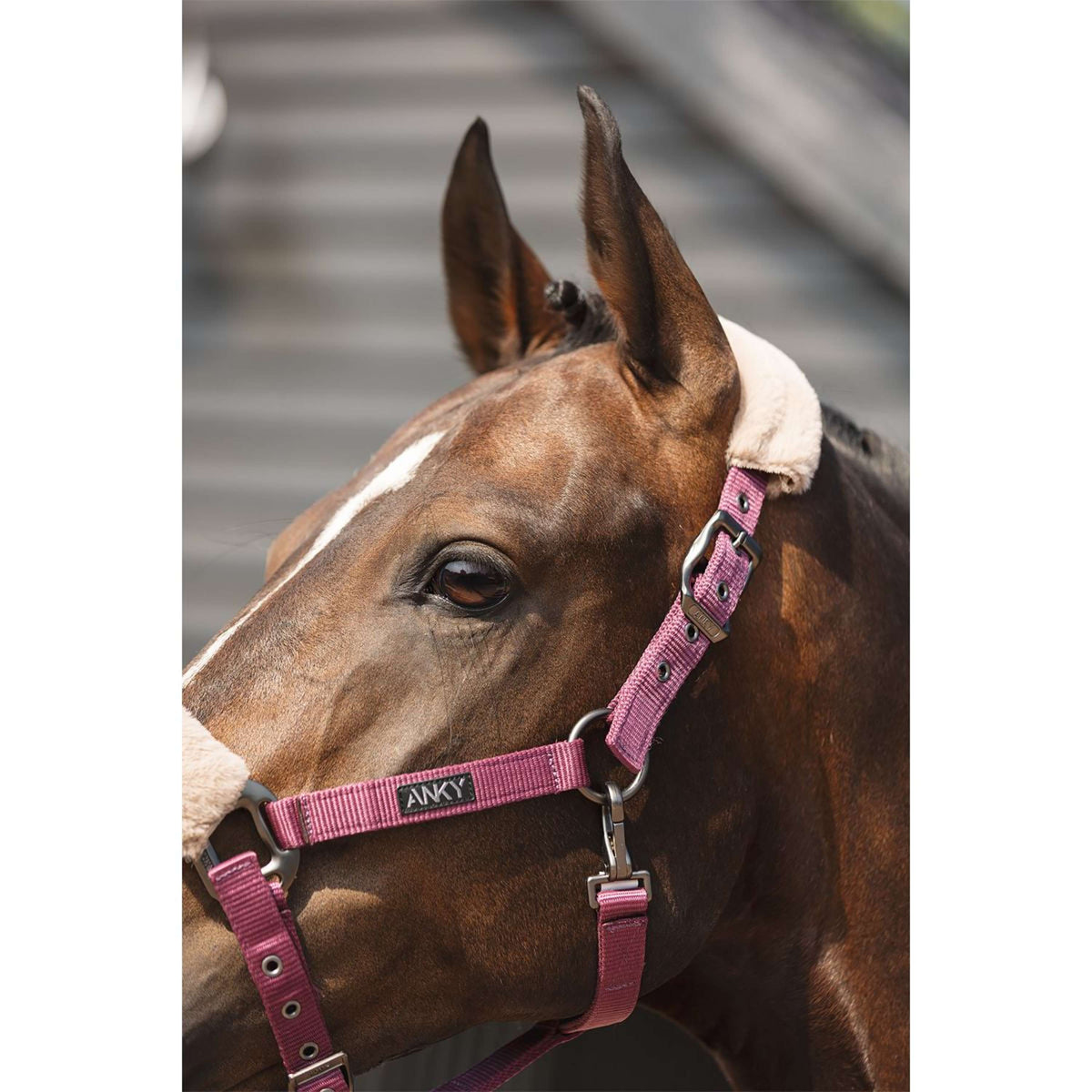 ANKY Set Cavezza Check Velvet ATH25002 Mellow Mauve