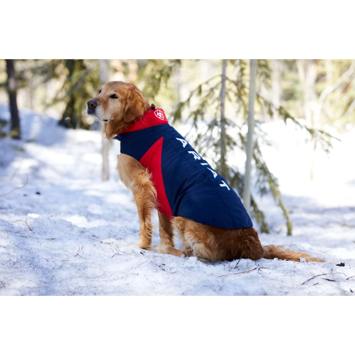 Ariat Cappotto per Cane Team Softshell Blu/Rosso