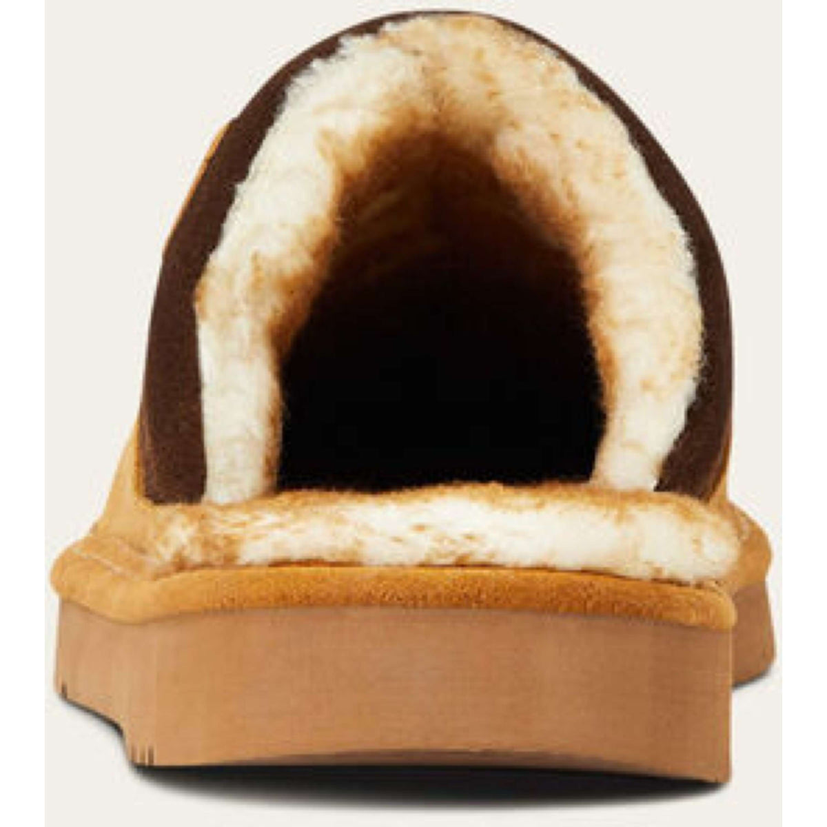 Ariat Pantoffel Silversmith Uomini Castagno