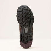 Ariat Scarpe da outdoor Skyline Mid Waterproof Donne Marrone Cioccolato