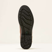 Ariat Scarpe da Esterno Harper Sherpa H2O Marrone scuro