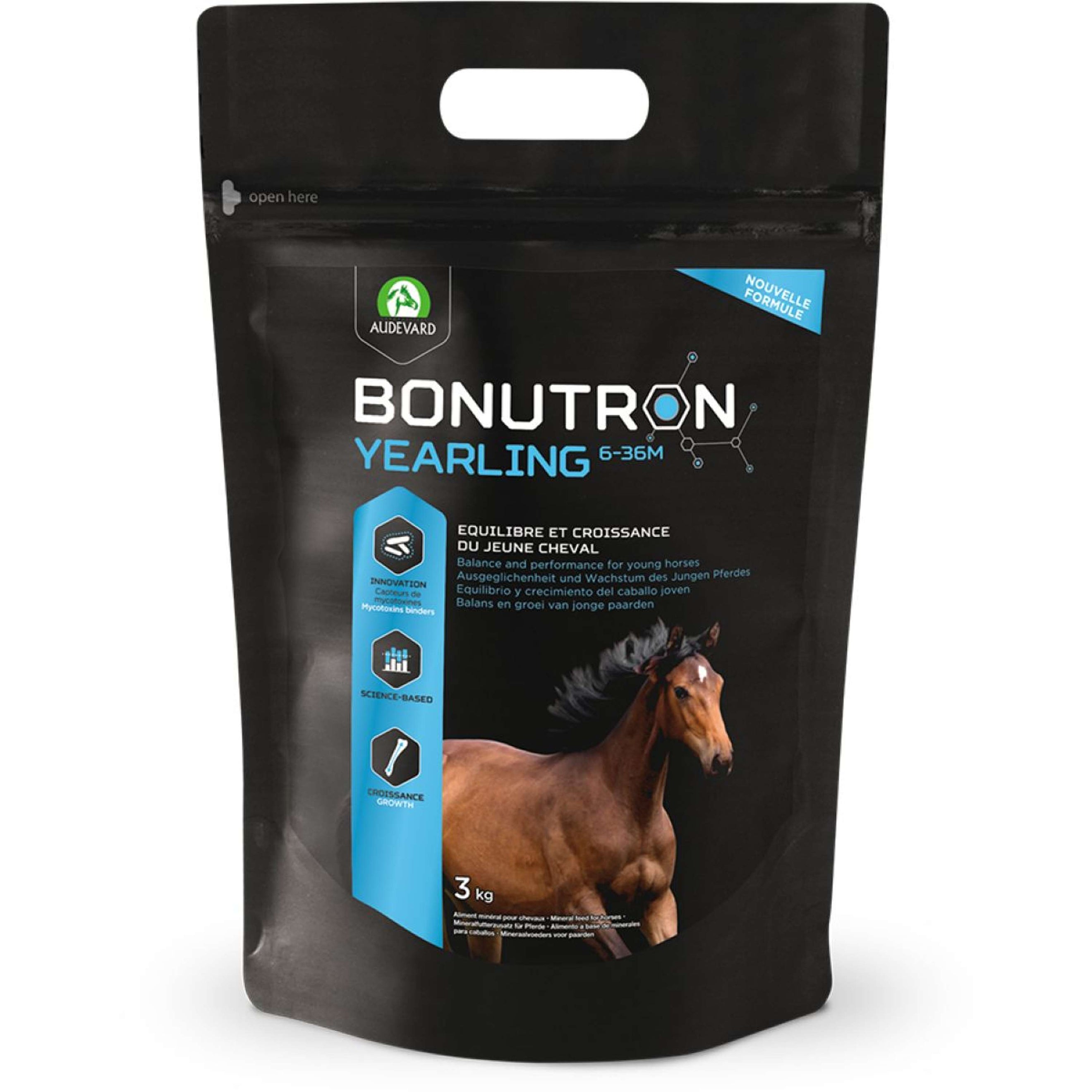 Audevard Bonutron Yearling Audevard Bonutron Yearling