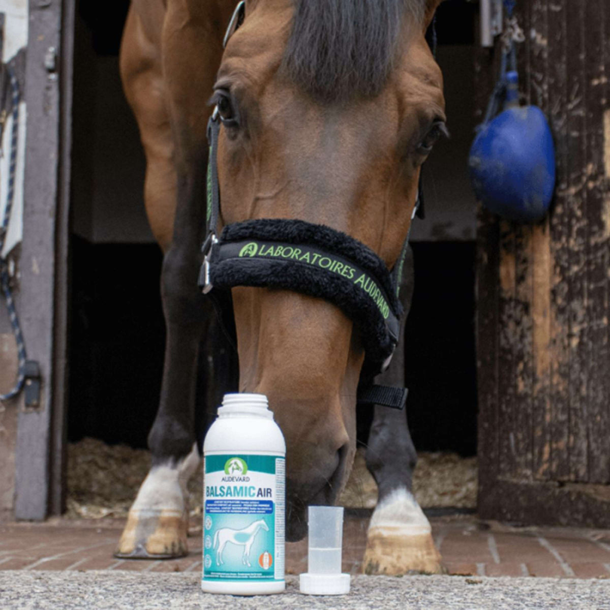 Audevard Aria Balsamica