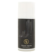 BR Spray per cerniere