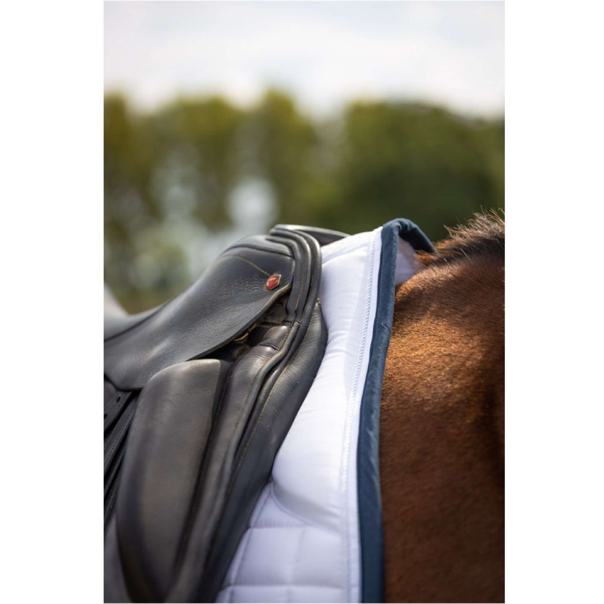 BR Sottosella C-Wear Saltillo Bianco