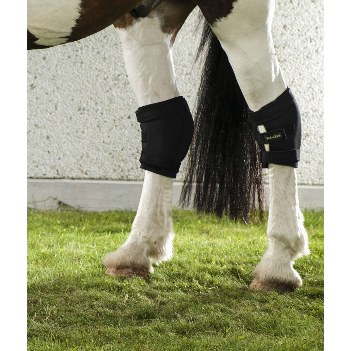 Back on Track Proteggi tallone giunto tarsale Rechts Nero