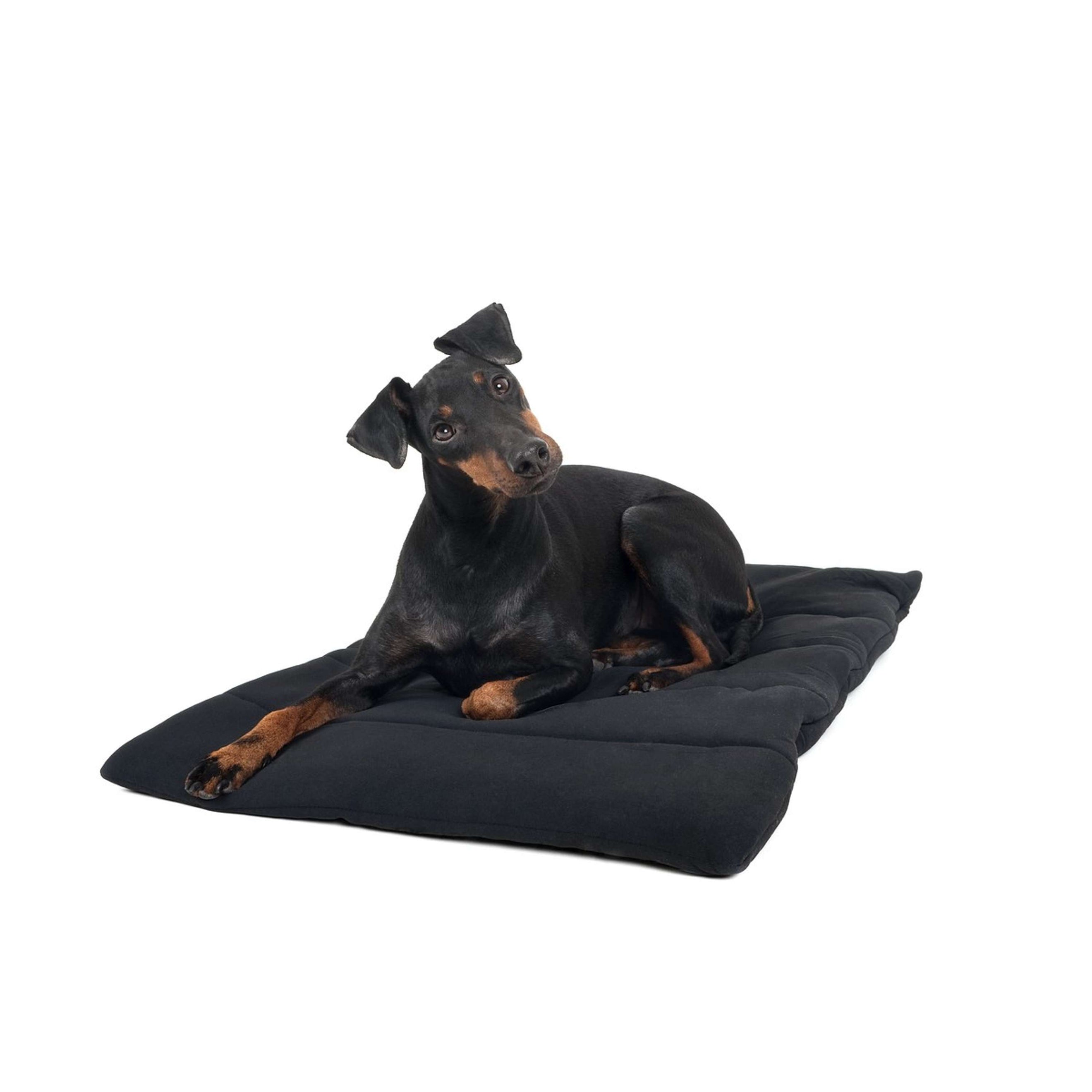 Back on Track Cuscino per Cane Nero Back on Track Cuscino per Cane Nero