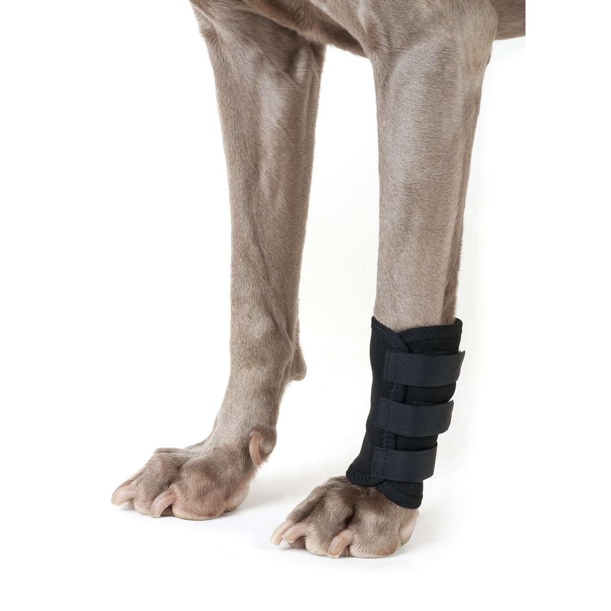 Back on Track Stinchiere Nero