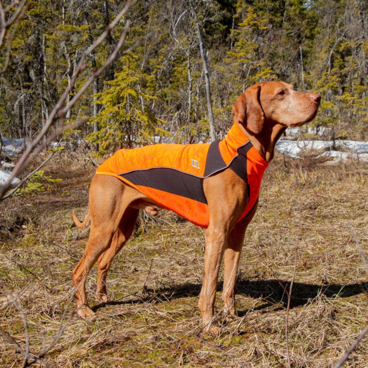 Back on Track Coperta per Cani Eddie High Visibility Jumper Arancia