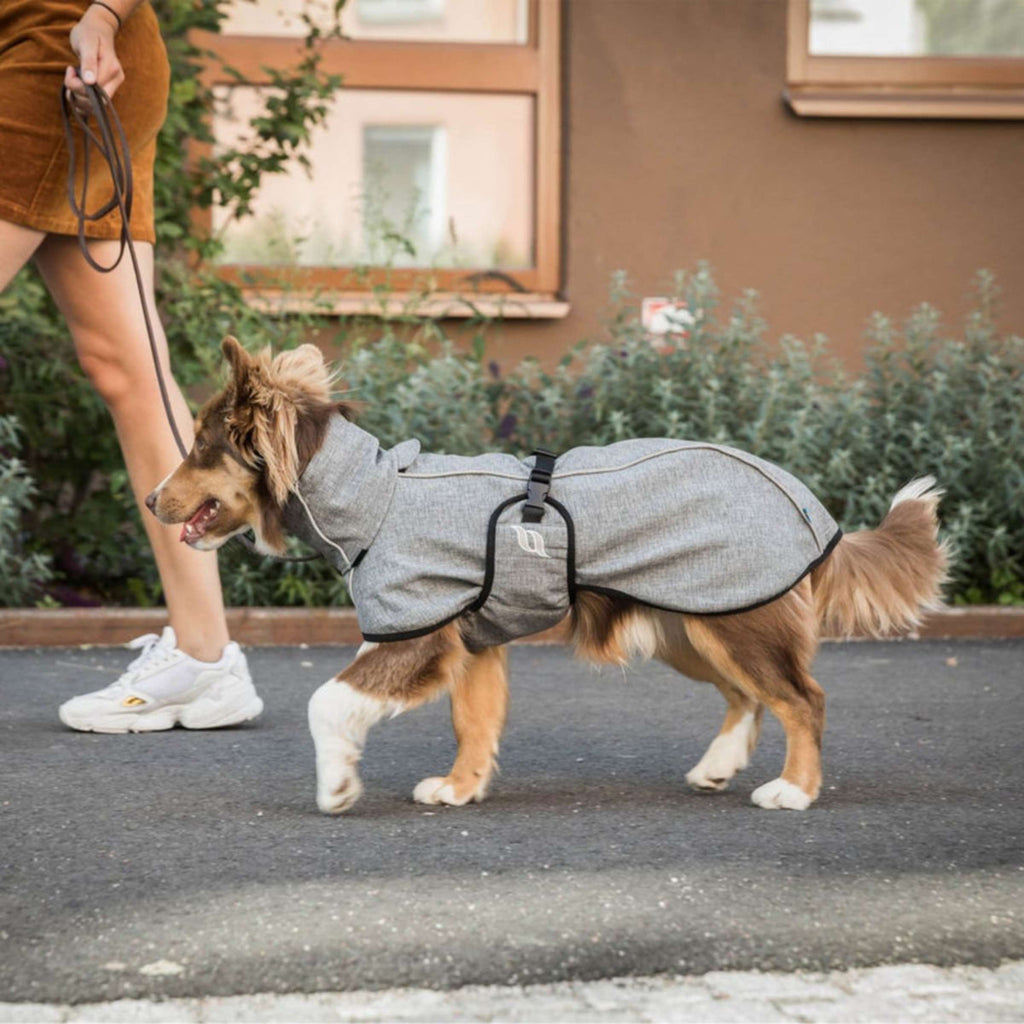 Back on Track Coperta per Cani Nella All-Round Coat Grigio