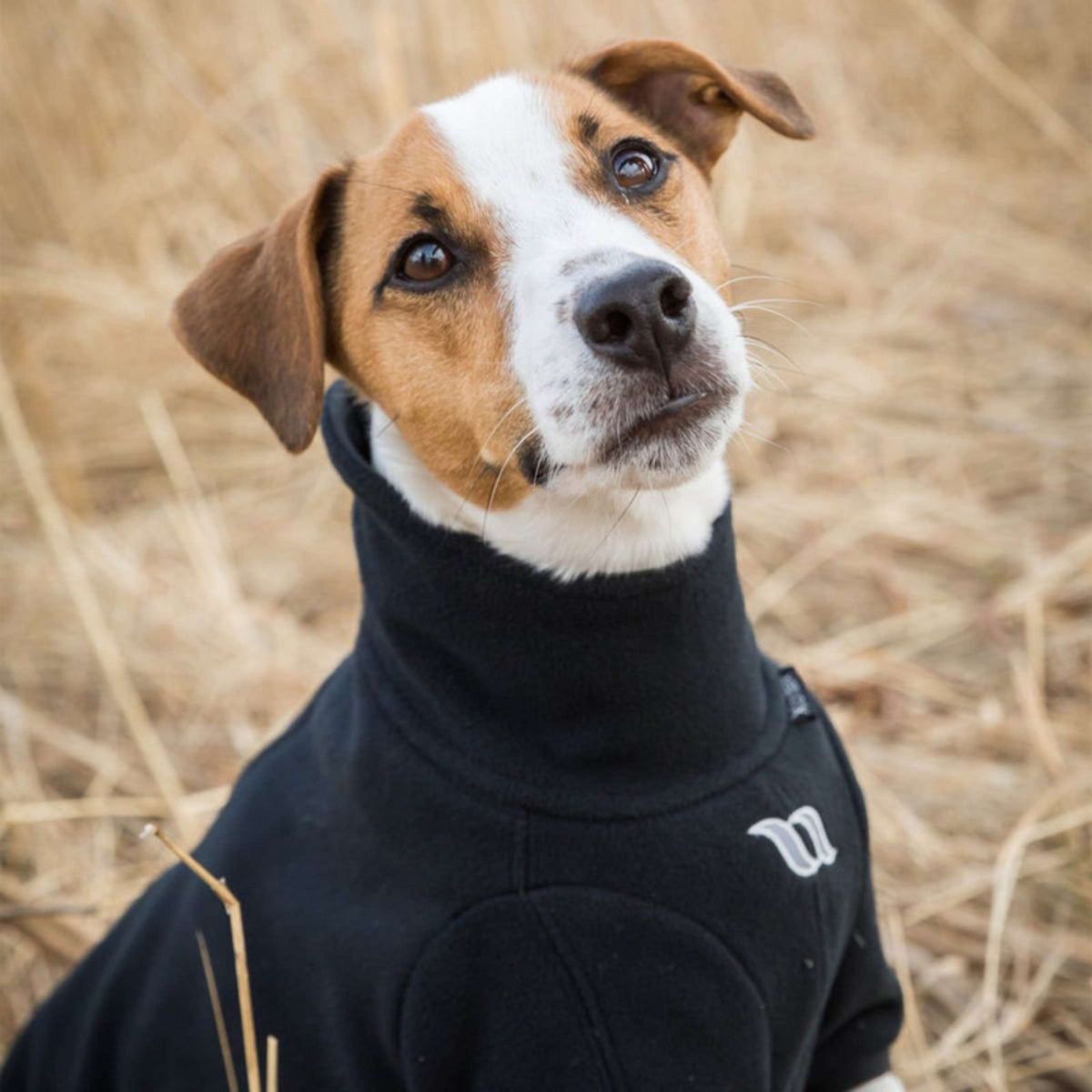 Back on Track Coperta per Cani Cassie All-Weather Jumper Nero