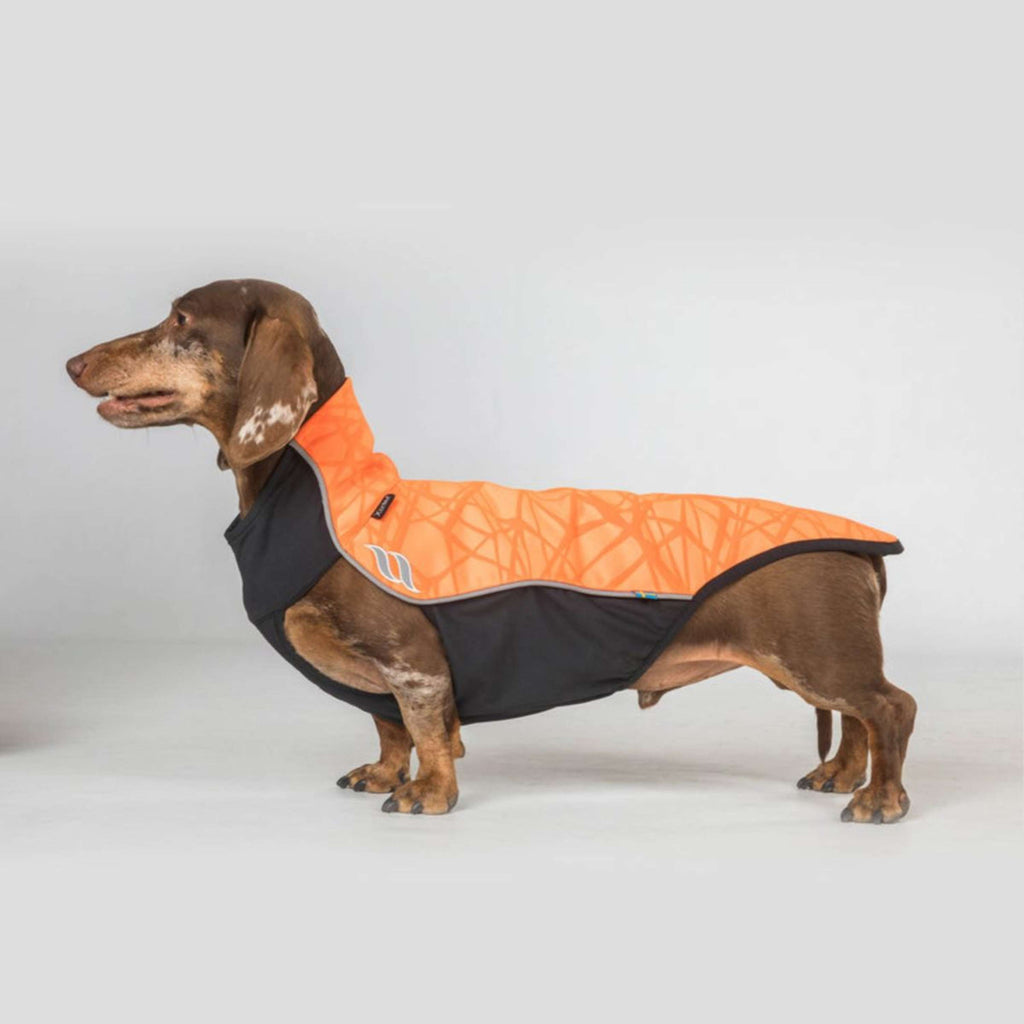 Back on Track Coperta per Cani Eddie High Visibility Jumper Petite Arancia