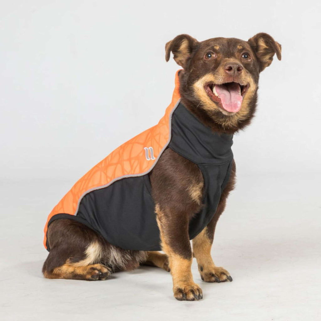 Back on Track Coperta per Cani Eddie High Visibility Jumper Petite Arancia