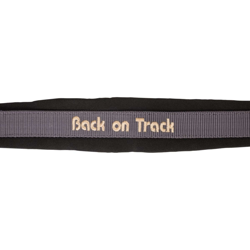 Back on Track Cavezza Werano Graphite