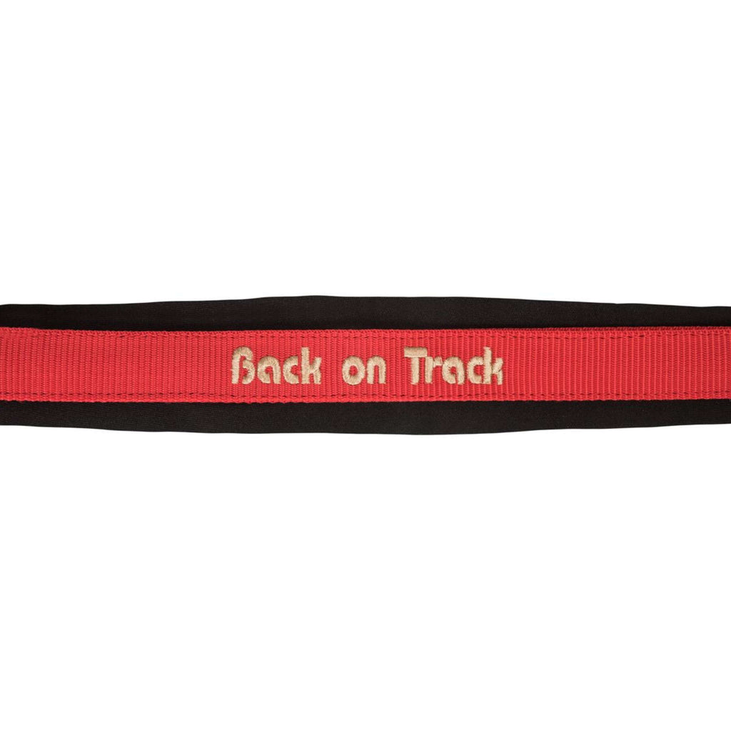 Back on Track Cavezza Werano Rosso