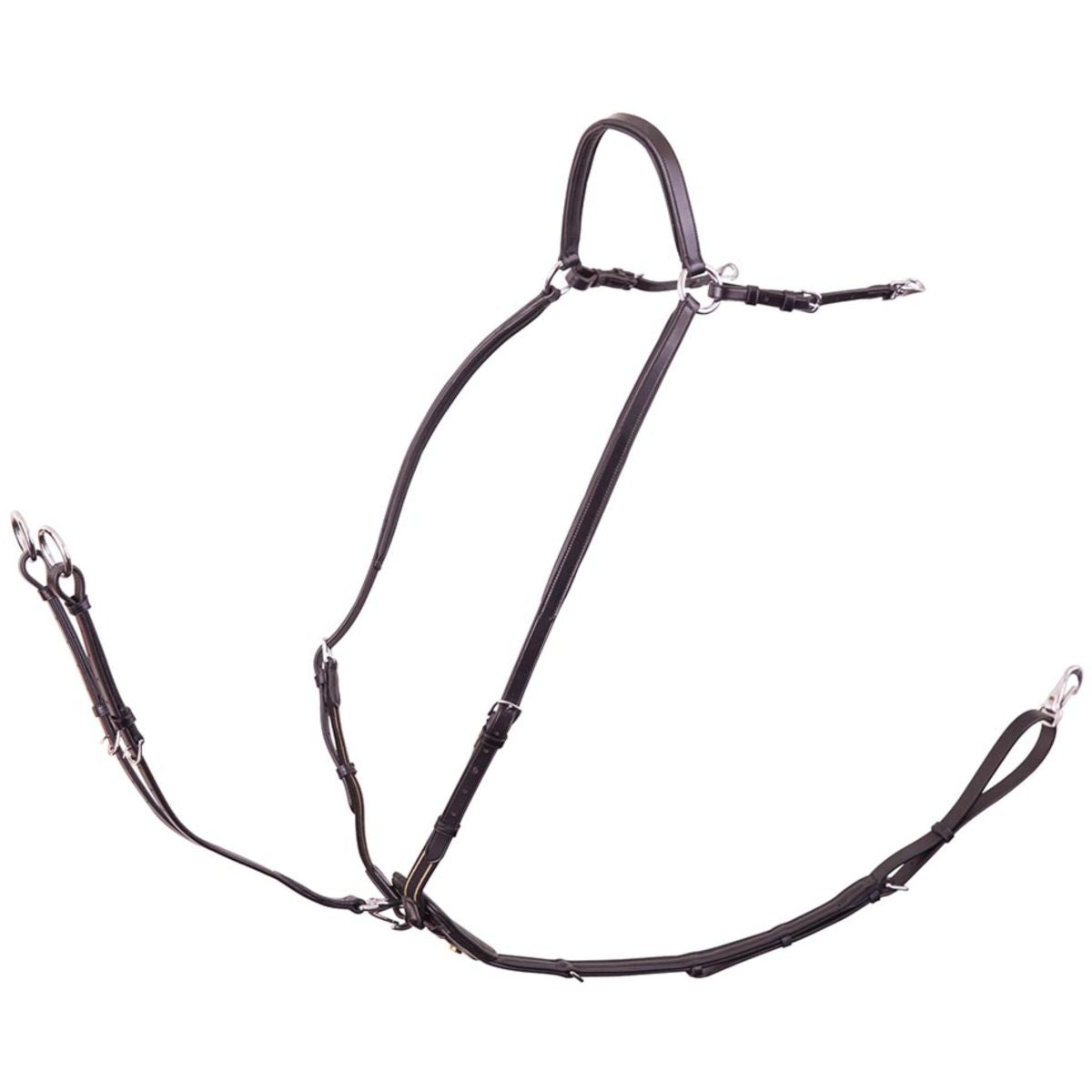 BR Pettorale Rayleigh Nero Argento