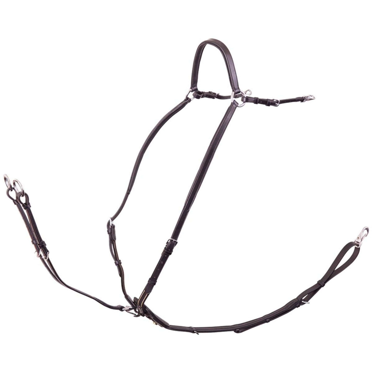 BR Pettorale Rayleigh Nero Argento