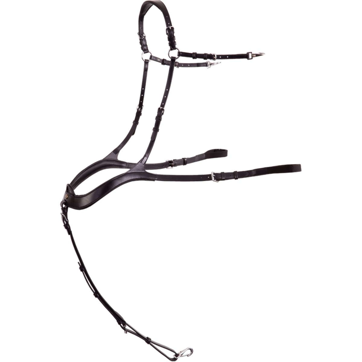 BR Pettorale Heywood Anatomisch Nero Argento