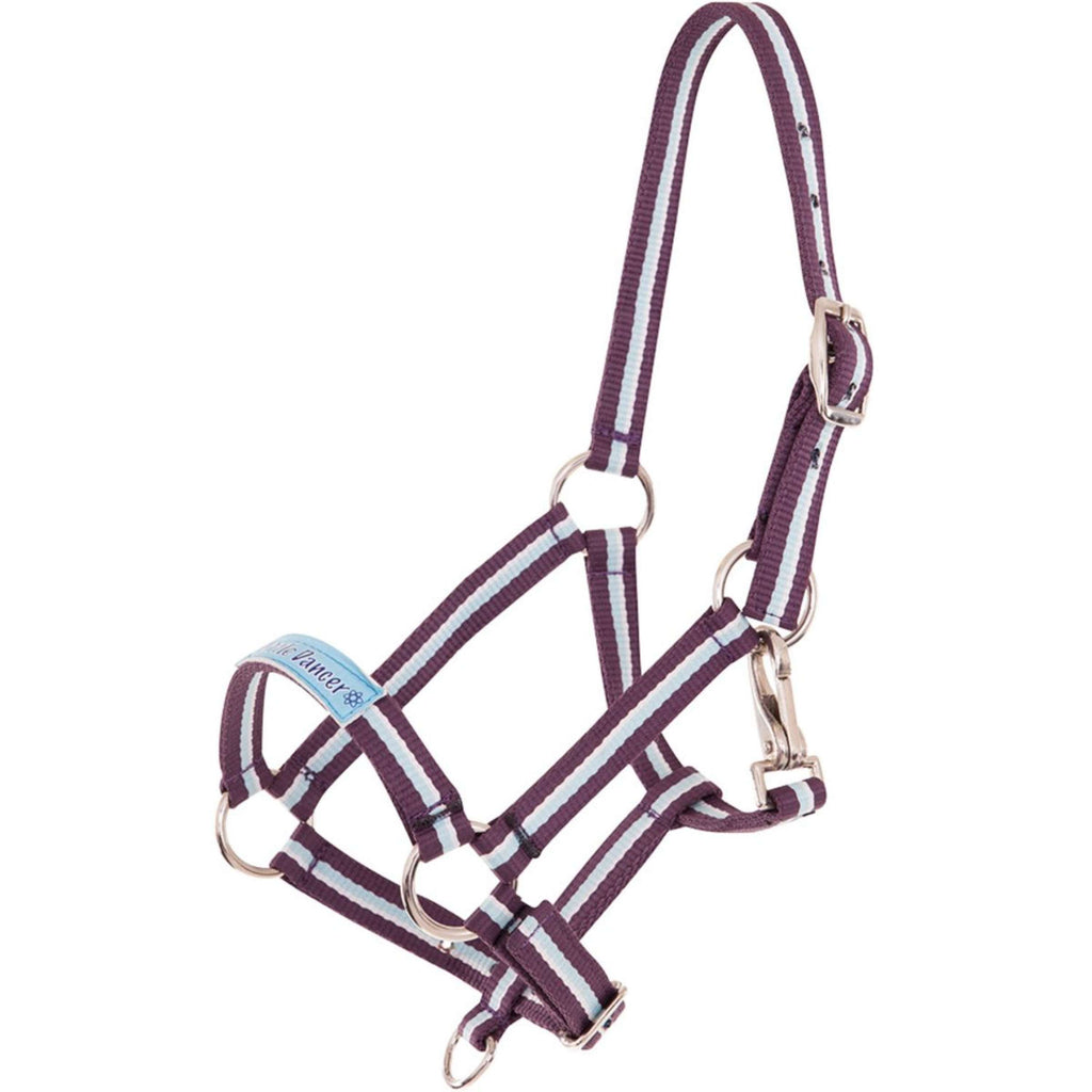Premiere Cavezza Fun Viola