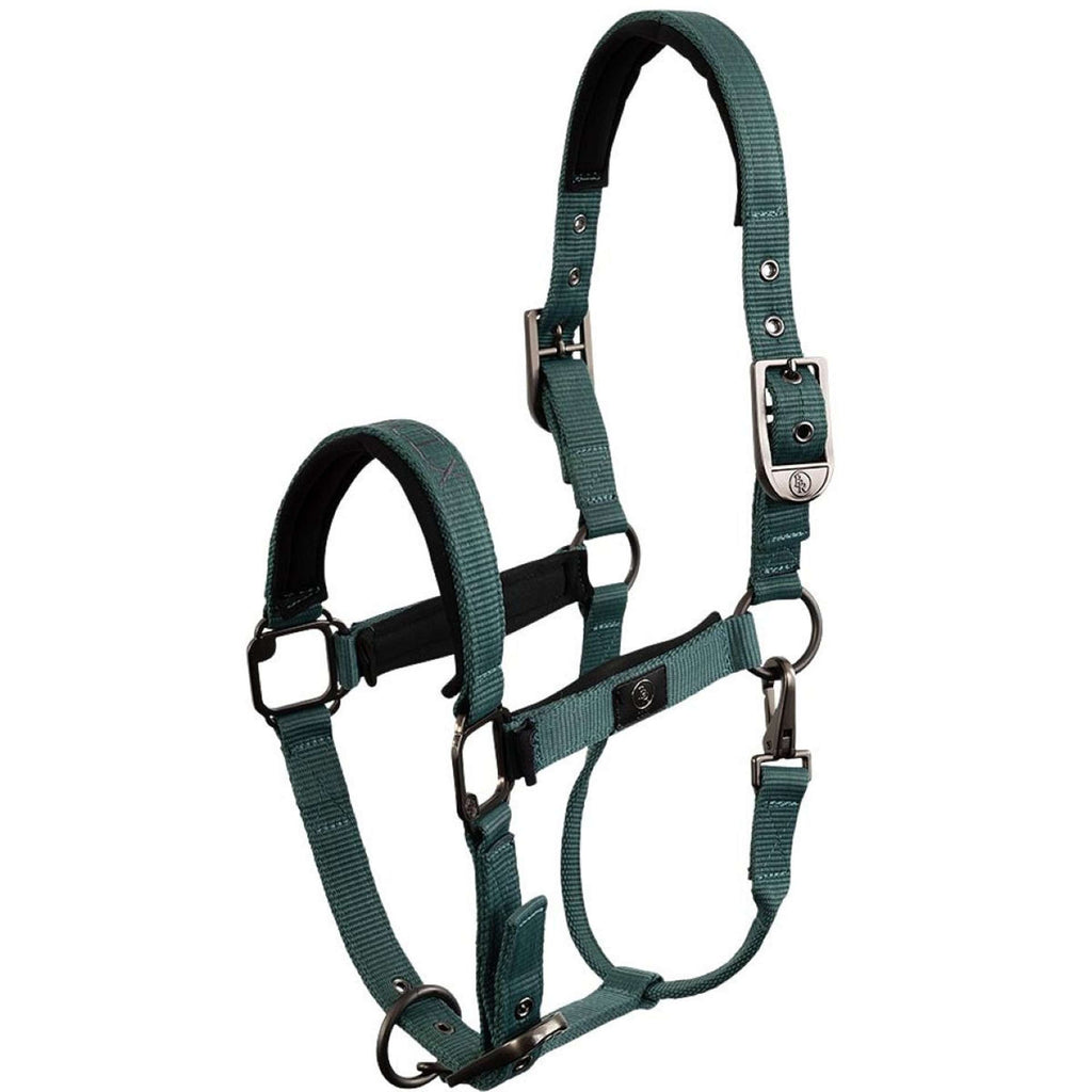 BR Cavezza CLX Sea Spine