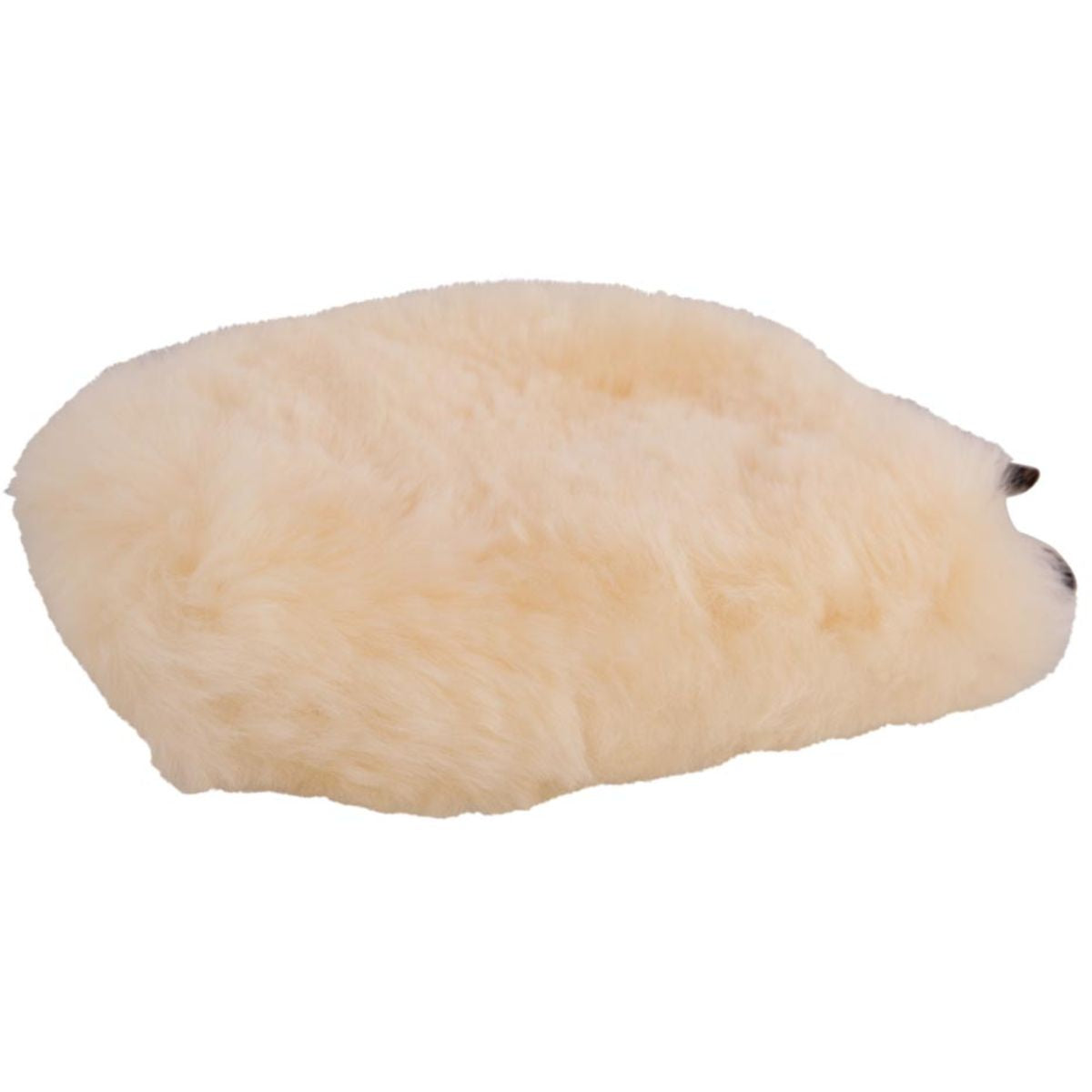 BR Guanto da Strigliatura Naturale