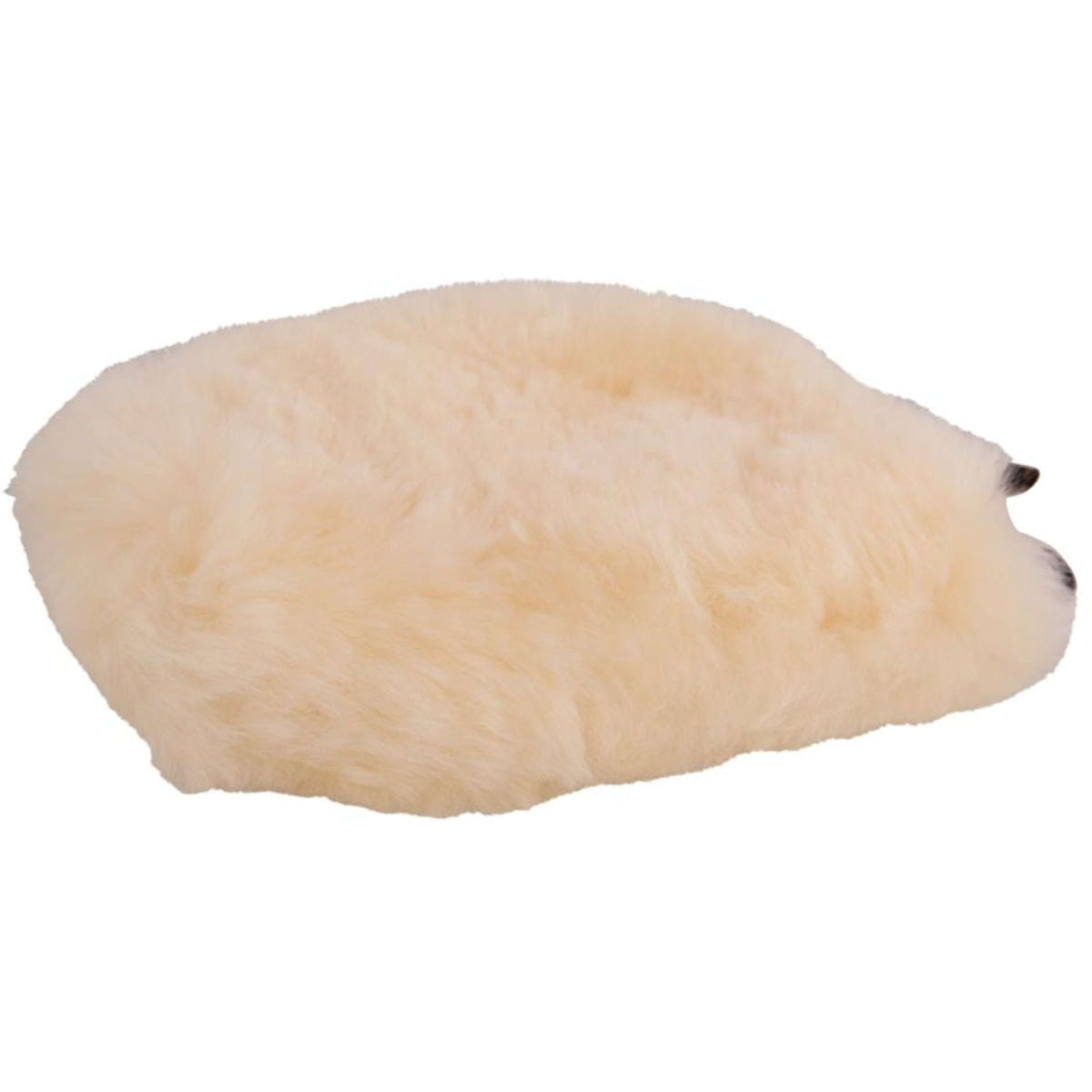 BR Guanto da Strigliatura Naturale