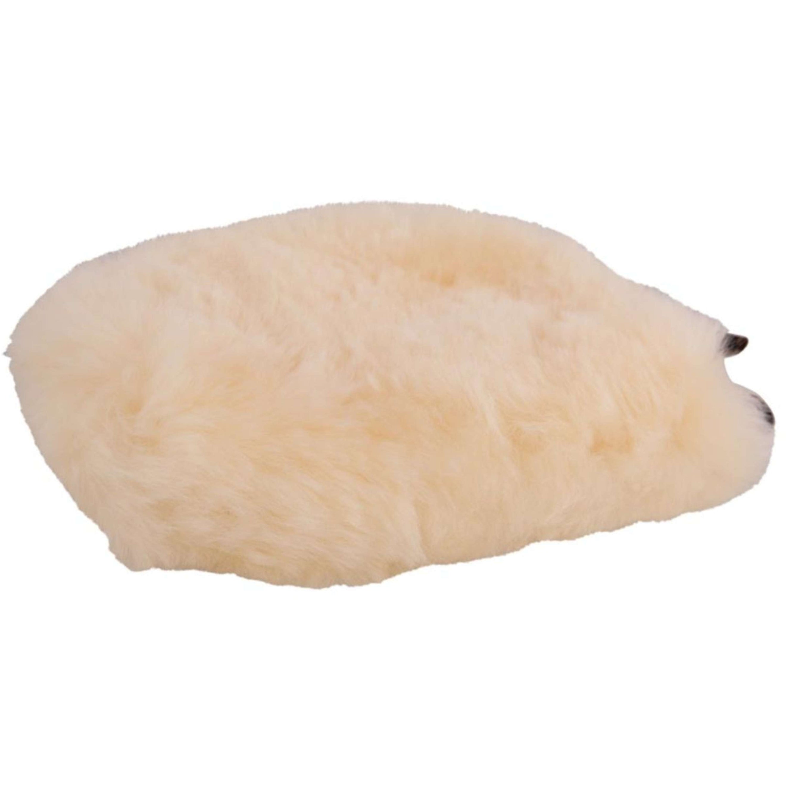 BR Guanto da Strigliatura Naturale
