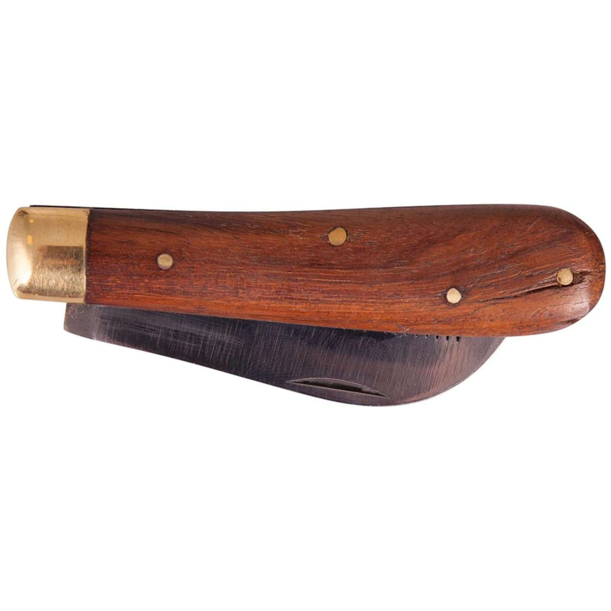 Premiere Coltello per toelettatura
