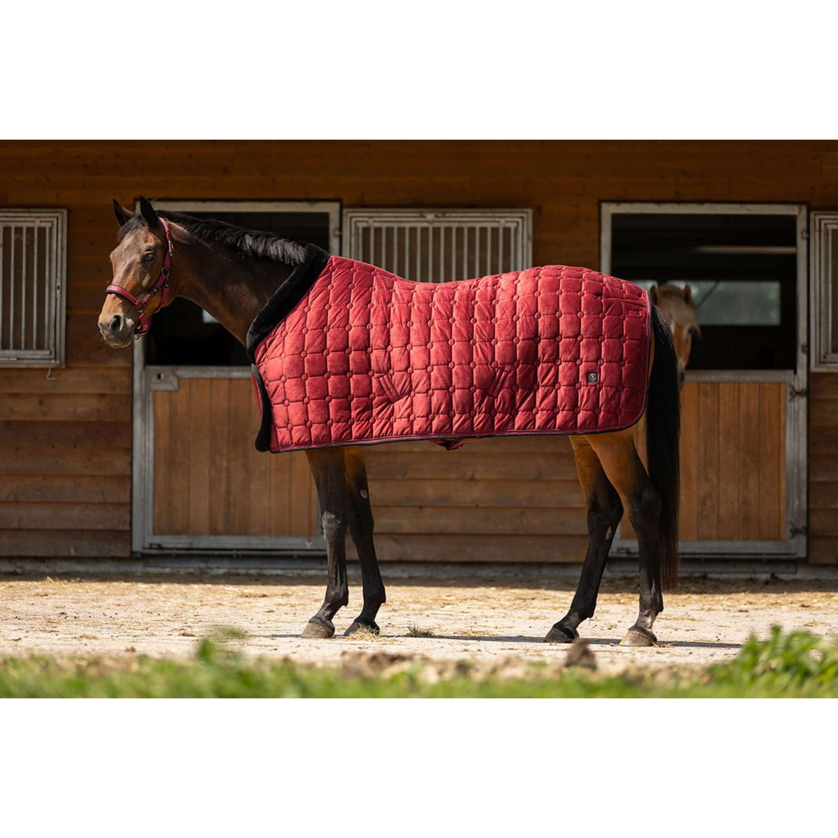 BR Coperta da esposizione CLX Cabernet