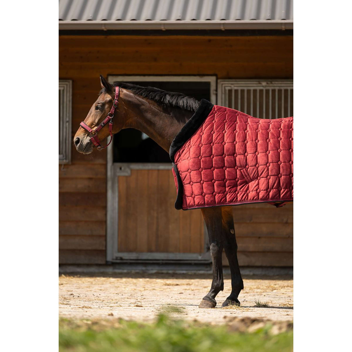 BR Coperta da esposizione CLX Cabernet