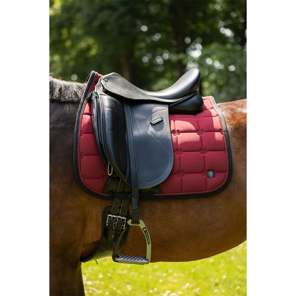 BR Sottosella CLX Dressage Cabernet