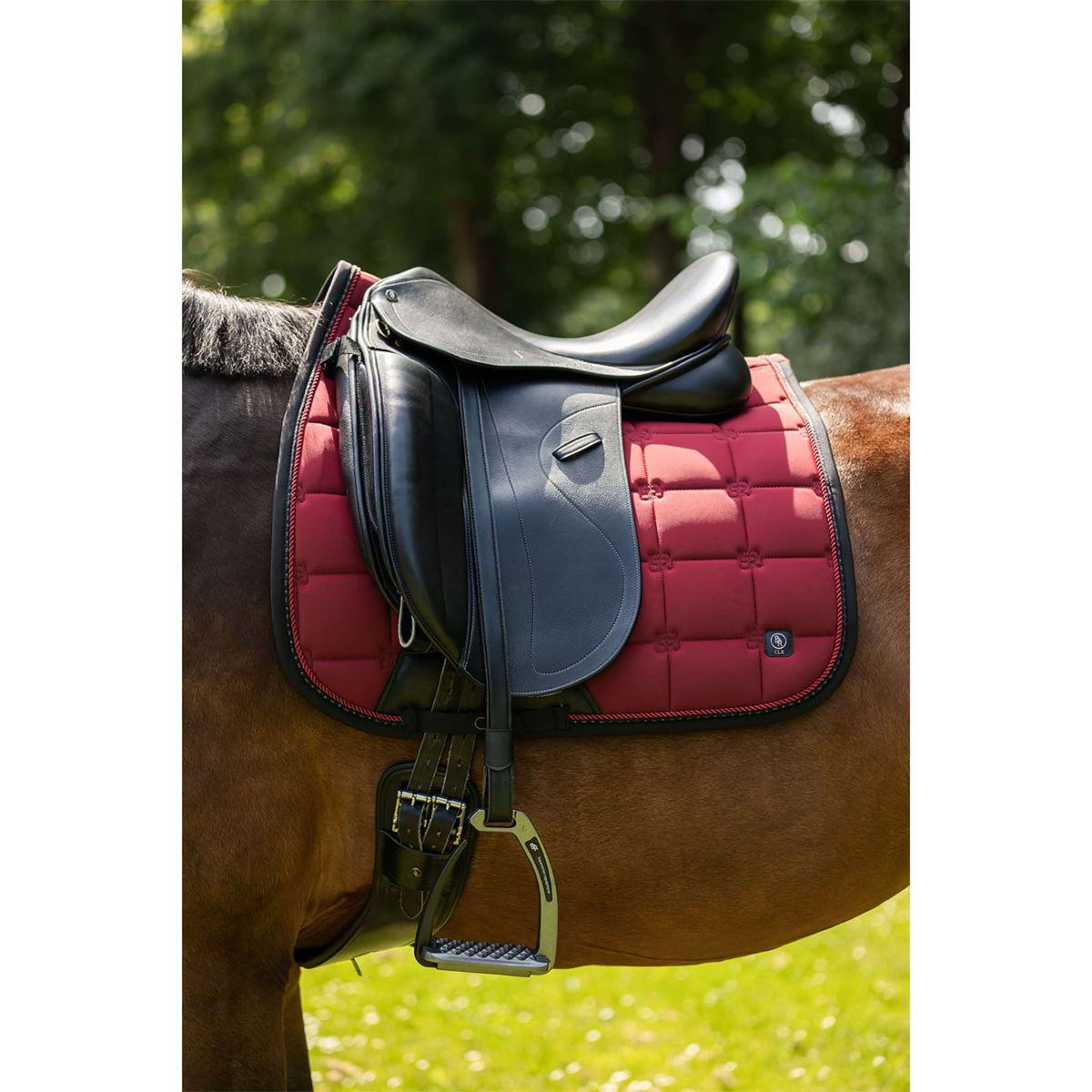 BR Sottosella CLX Dressage Cabernet
