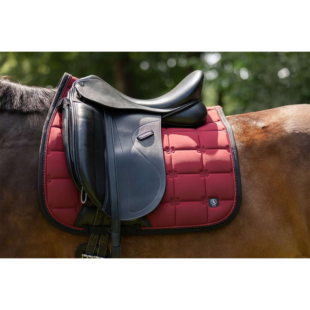 BR Sottosella CLX Dressage Cabernet