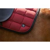 BR Sottosella CLX Dressage Cabernet