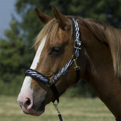 Bucas Capestro Dublin Foal Zebra