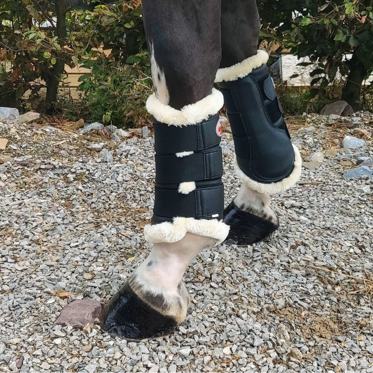 Bucas Stivali da spazzolatura Nero
