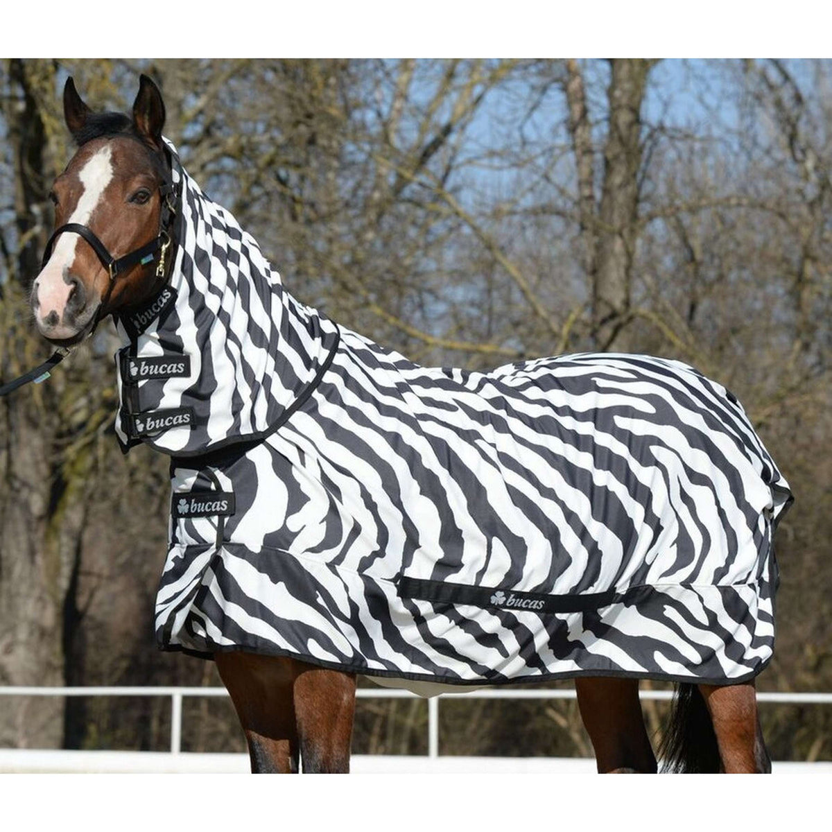 Bucas Coperta per Eczema Zebra