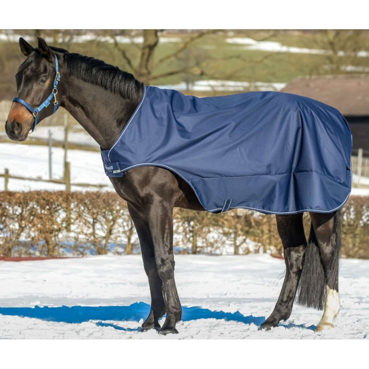 Bucas Walker Blu marino/Argento